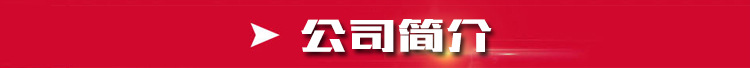 1公司簡介
